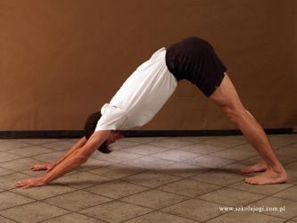 ADHO MUKHA SVANASANA