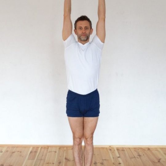 URDHVA HASTASANA