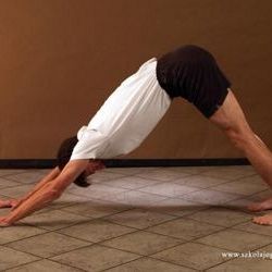 ADHO MUKHA SVANASANA