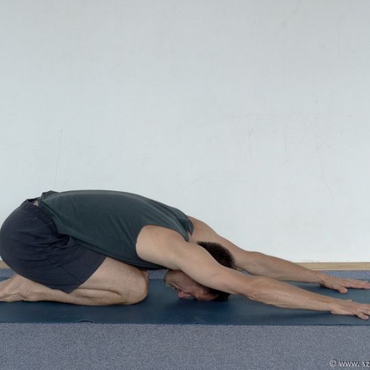 ADHO MUKHA VAJRASANA