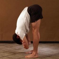 UTTANASANA